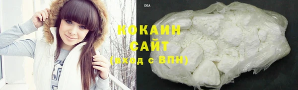 дживик Шали