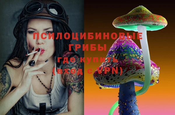 Альфа ПВП Шадринск