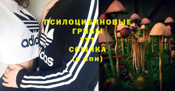 гашик Щёлкино