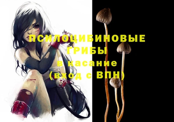 дживик Шали